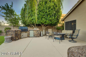 2132 E Sapium Way, Phoenix, AZ 85048 photo 43