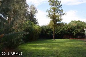 1044 E Whitton Ave, Phoenix, AZ 85014 photo 2