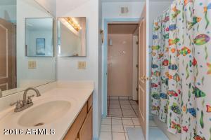 217 E Frontier St, Apache Junction, AZ 85119 photo 15