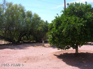 5841 E Decatur St E, Mesa, AZ 85205 photo 3