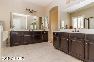 3139 E Warbler Rd, Gilbert, AZ 85297 photo 20