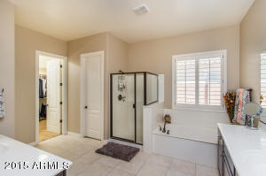 3139 E Warbler Rd, Gilbert, AZ 85297 photo 19