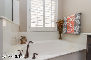 3139 E Warbler Rd, Gilbert, AZ 85297 photo 21