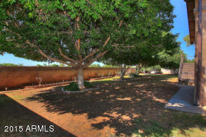 4816 E Downing Cir, Mesa, AZ 85205 photo 5