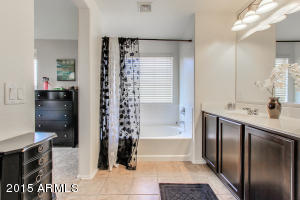 929 S Pheasant Dr, Gilbert, AZ 85296 photo 19
