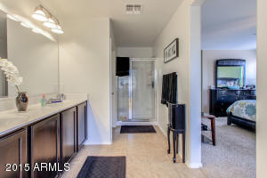 929 S Pheasant Dr, Gilbert, AZ 85296 photo 22