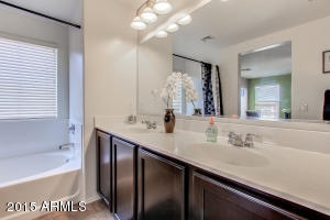 929 S Pheasant Dr, Gilbert, AZ 85296 photo 29