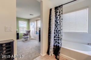929 S Pheasant Dr, Gilbert, AZ 85296 photo 20