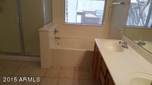 809 S Tobin Cir, Mesa, AZ 85208 photo 8