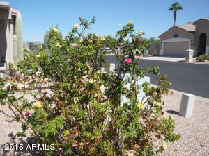 2101 S Meridian Rd #328, Apache Junction, AZ 85120 photo 24