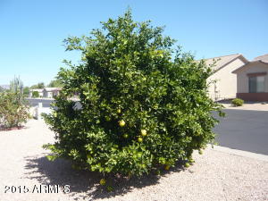 2101 S Meridian Rd #328, Apache Junction, AZ 85120 photo 23
