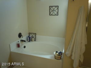 346 S Aaron --, Mesa, AZ 85208 photo 29