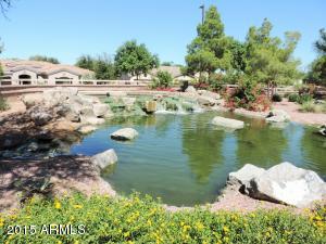 608 Elgin St, Gilbert, AZ 85295 photo 52