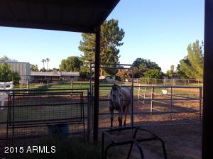 202 E Harrison St, Gilbert, AZ 85295 photo 15