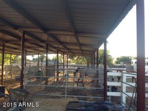 202 E Harrison St, Gilbert, AZ 85295 photo 14