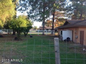 202 E Harrison St, Gilbert, AZ 85295 photo 11