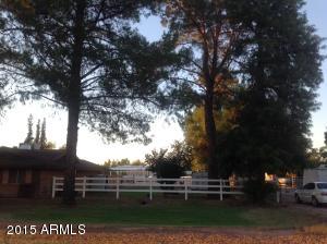 202 E Harrison St, Gilbert, AZ 85295 photo 3