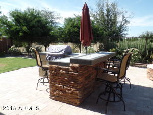 10958 E Reuben Cir, Mesa, AZ 85212 photo 40