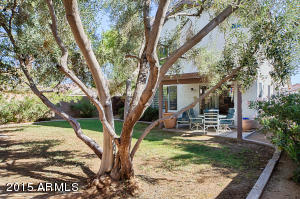3940 E Renee Dr, Phoenix, AZ 85050 photo 23