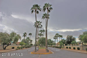 990 E Bruce Ave, Gilbert, AZ 85234 photo 50