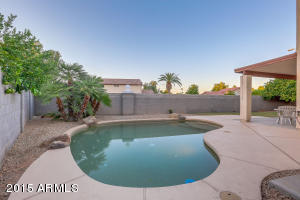 990 E Bruce Ave, Gilbert, AZ 85234 photo 47