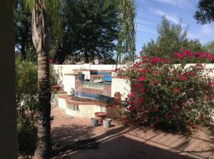 15454 S 29th St, Phoenix, AZ 85048 photo 22