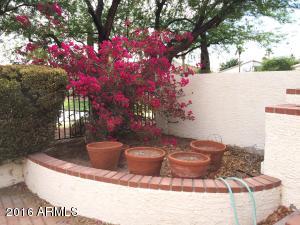 15454 S 29th St, Phoenix, AZ 85048 photo 29