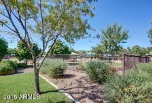 4452 E Blue Sage Rd, Gilbert, AZ 85297 photo 54