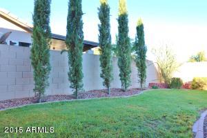 1010 E Bruce Ave, Gilbert, AZ 85234 photo 50