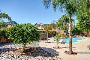 2307 E Christy Dr, Phoenix, AZ 85028 photo 7