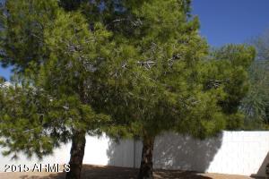 635 E Boca Raton Rd, Phoenix, AZ 85022 photo 93