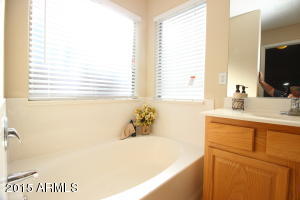 3905 E Wyatt Way, Gilbert, AZ 85297 photo 32