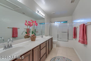 1333 E Briarwood Ter, Phoenix, AZ 85048 photo 47