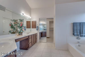1333 E Briarwood Ter, Phoenix, AZ 85048 photo 34