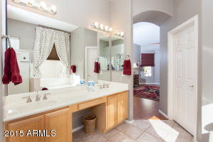 9302 E Princess Dr, Mesa, AZ 85207 photo 16