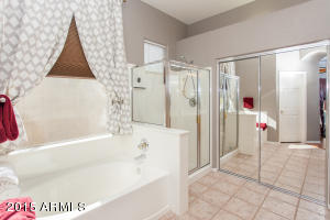 9302 E Princess Dr, Mesa, AZ 85207 photo 14
