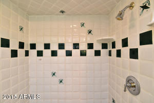 2501 W Mcdowell Blvd, Apache Junction, AZ 85120 photo 40