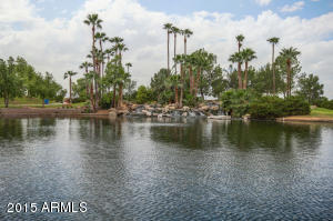 954 E Park Ave, Gilbert, AZ 85234 photo 28