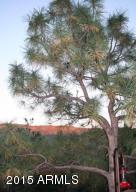 4541 N Serenity Cir, Pine, AZ 85544 photo 29
