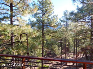 4541 N Serenity Cir, Pine, AZ 85544 photo 32