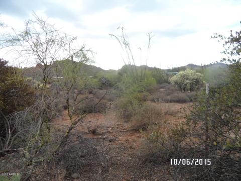 1282 E Moon Vista St #-, Apache Junction, AZ 85119 photo 44