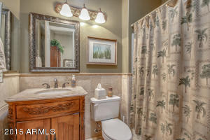 430 E Joseph Way, Gilbert, AZ 85295 photo 25