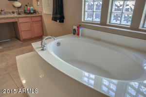 430 E Joseph Way, Gilbert, AZ 85295 photo 43