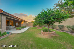 2221 E Knoll St, Mesa, AZ 85213 photo 45