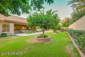 2221 E Knoll St, Mesa, AZ 85213 photo 46