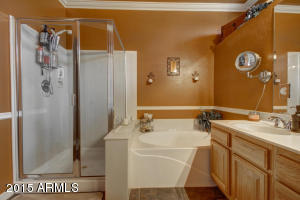 10932 E Cholla Rd, Mesa, AZ 85207 photo 28