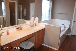 3764 E Bart St, Gilbert, AZ 85295 photo 20