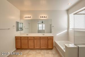 4630 S Twinleaf Dr, Gilbert, AZ 85297 photo 22