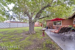 1002 E San Juan Ave, Phoenix, AZ 85014 photo 15