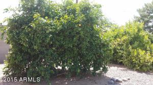 2839 E Kramer St, Mesa, AZ 85213 photo 6